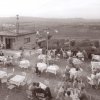 budapest-panorama-etterem-vendeglo