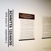 img-8239
